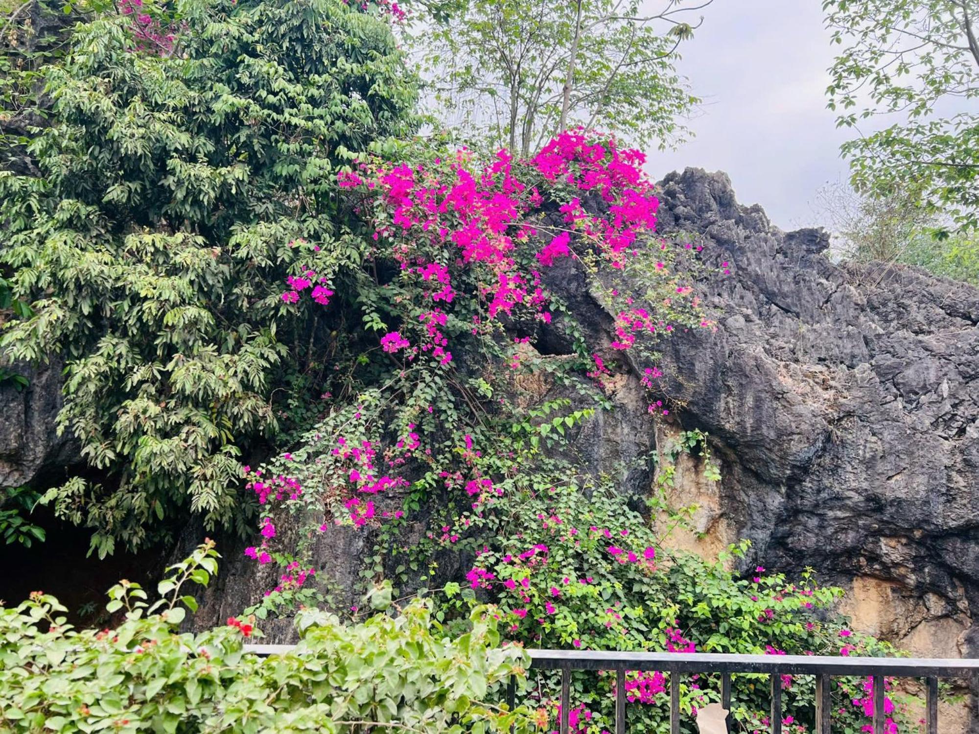 Mai Chau 4 Seasons Bungalow & Hotel Zewnętrze zdjęcie